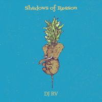 DJ RV - Shadows of Reason