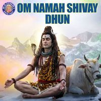 Abhishek Telang - Om Namah Shivay Dhun
