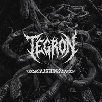 TEGRON - DEMOLISHING LIVES