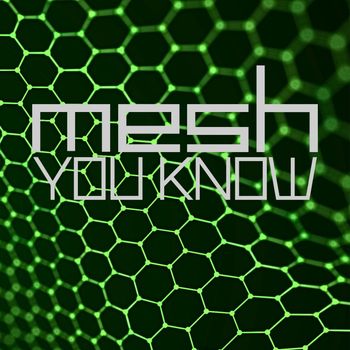 Mesh - You know