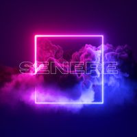 Shervin - SENERE (Explicit)