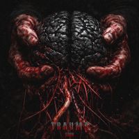 SORN - TRAUMA