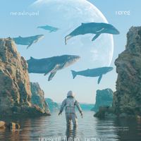 Nareg - Rise and Expand