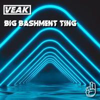 Veak - Big Bashment Ting