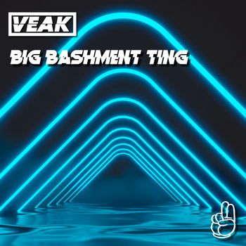 Veak - Big Bashment Ting