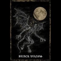 Demon Noise - Black Wings