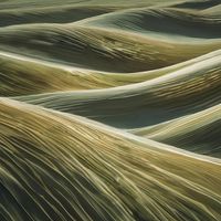 Shelby Archer - Amber Waves