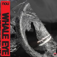 nou - Whale Eye
