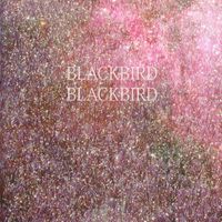 Blackbird Blackbird - Pure (2026 Remaster)