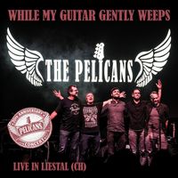 The Pelicans - While My Guitar Gently Weeps (Live)
