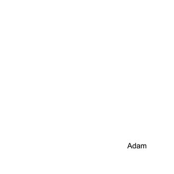 Adam - Simulation of Sin (Explicit)