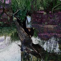 Yamo - Takecareofuuu