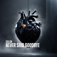 SOLON - Never Said Goodbye