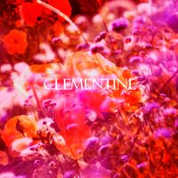 Blackbird Blackbird - Clementine