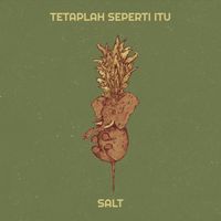 SALT - Tetaplah Seperti Itu