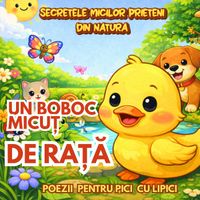 Cutiuța  Muzicală - Un boboc micuț de rață