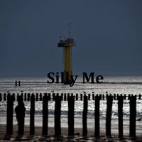 Thierry - Silly Me