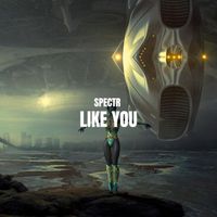 Spectr - Like You