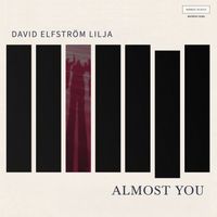 David Elfström Lilja - Almost You