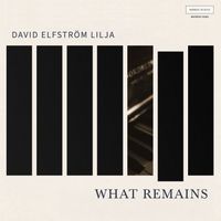 David Elfström Lilja - What Remains