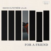 David Elfström Lilja - For A Friend