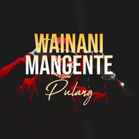 Cevin Syahailatua - Wainani Mangente Pulang