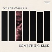 David Elfström Lilja - Something Else