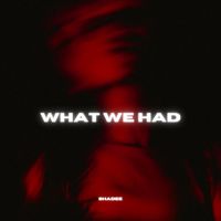 shadee - What We Had
