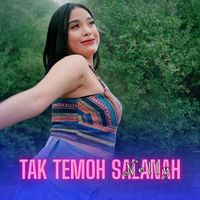 Nelly - Tak Temoh Salanah
