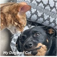 Carl - My Dog and Cat