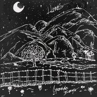 Gabriele Borgia - Llanos