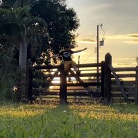 GLOW - choque térmico (Explicit)