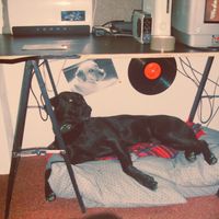 Broken Lip - Maybe Tomorrow