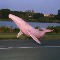 Jayda G - Uncomfortable