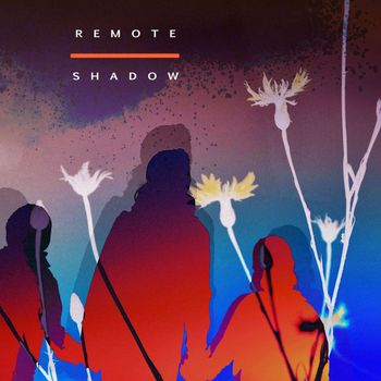 Various Artists - Remote Shadow