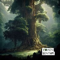 Volen Sentir - Moment of Peace