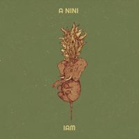 IAM - A nini 