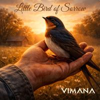 VIMANA - Little Bird of Sorrow