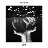 Sam Paganini - Roll / Feeling In The Air