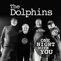 the Dolphins - One Night With You
