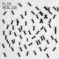 Flim - Realise