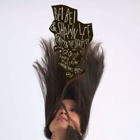 Shawn Lee - Beauty and the Beats