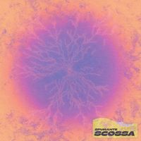Spumante - Scossa