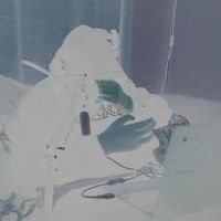 davis - Murcielago (Explicit)