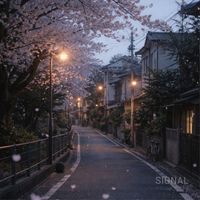 Signal - それでも まだ
