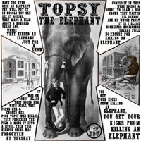 Time Dilation Unit - Topsy the Elephant