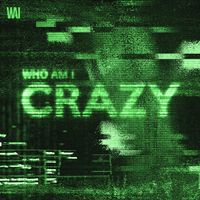 WHO AM I - Crazy
