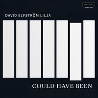 David Elfström Lilja - Could Have Been