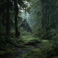 SAEV - Retreat