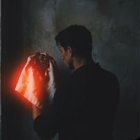 DANILA - Promise to Try